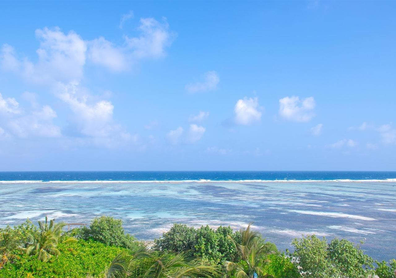 Standard Ocean View